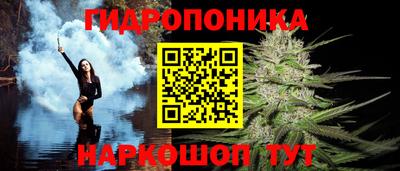 мдпв Пушкино