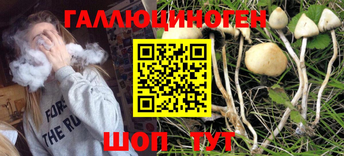 Галлюциногенные грибы ЛСД Сосновый Бор